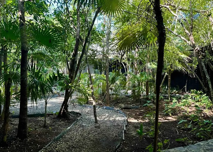 Kataluum- Luxurious Eco-chic Ph With Pool * Tulum